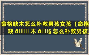 命格缺木怎么补救男孩女孩（命格缺 🐋 木 🐧 怎么补救男孩女孩的命运）